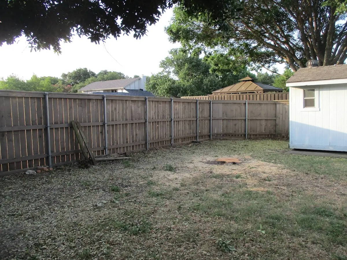 Cleared yard after professional tree removal in Steuben